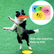 Silicone Flying Saucer Funny Pets Dog Toy